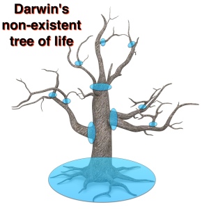Darwin's non-existent tree