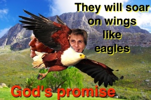 Eagles soar